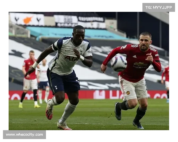 从多角度全面深入剖析洛塞尔索比赛风格与战术适配性的系统研究