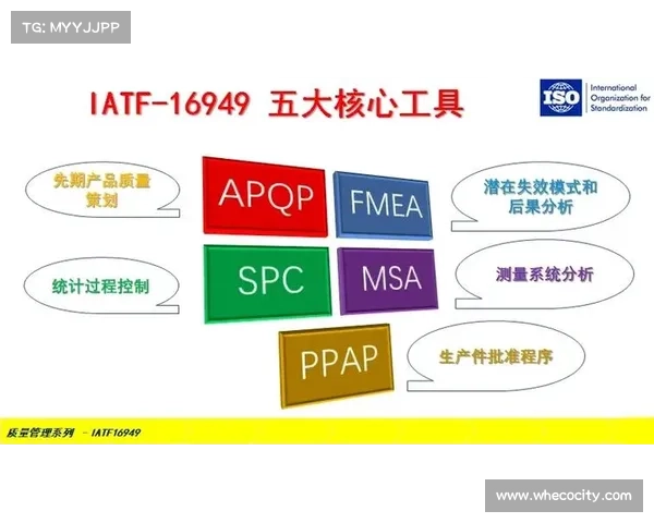 斯坦福桥所属组织五大核心要素分析与发展战略探讨