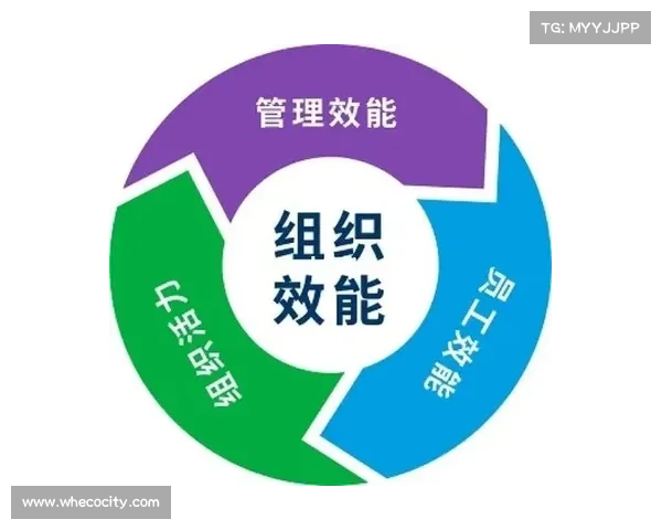 斯坦福桥组织效能提升实践与策略全面解析及应用指导